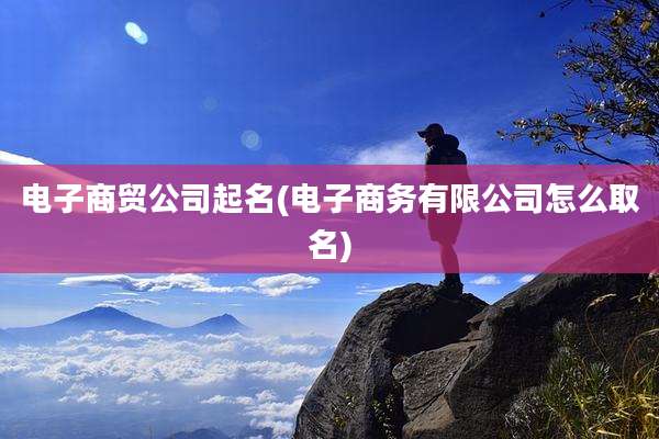 电子商贸公司起名(电子商务有限公司怎么取名)