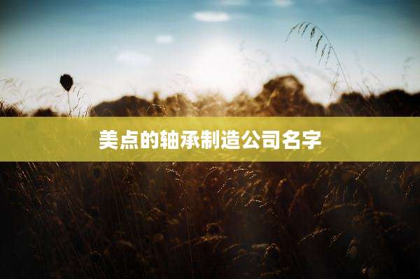 美点的轴承制造公司名字