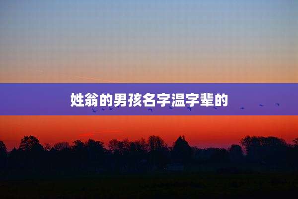 姓翁的男孩名字温字辈的