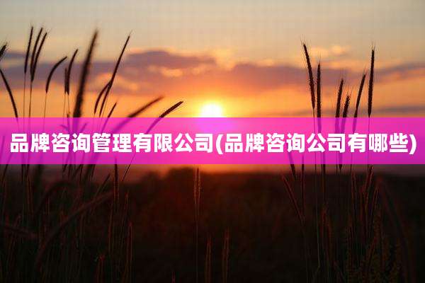 品牌咨询管理有限公司(品牌咨询公司有哪些)