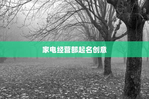 家电经营部起名创意