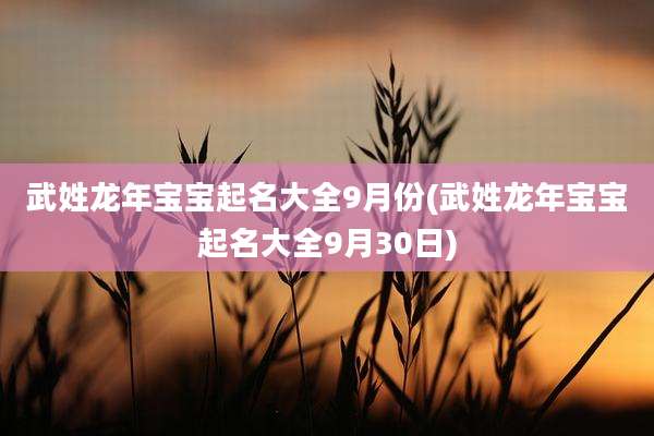 武姓龙年宝宝起名大全9月份(武姓龙年宝宝起名大全9月30日)