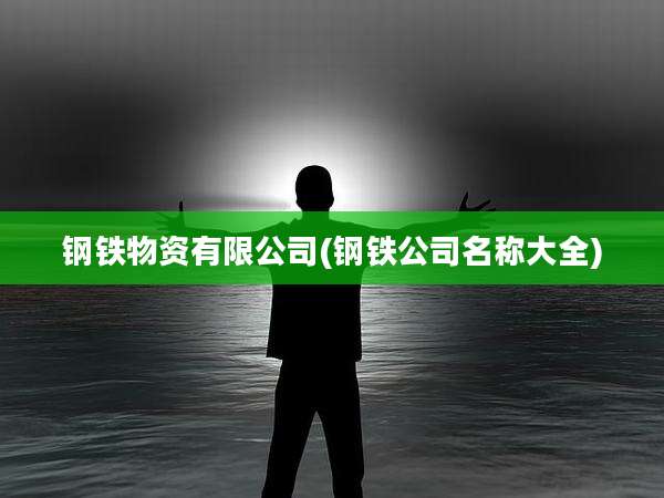 钢铁物资有限公司(钢铁公司名称大全)