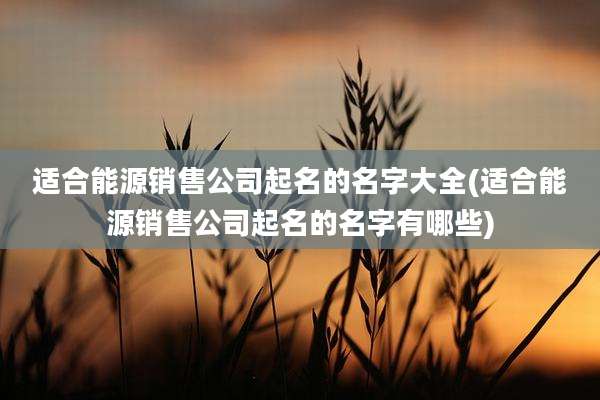 适合能源销售公司起名的名字大全(适合能源销售公司起名的名字有哪些)