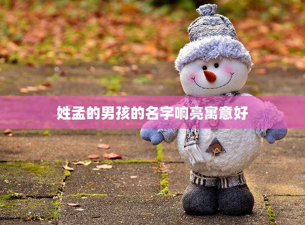 姓孟的男孩的名字响亮寓意好