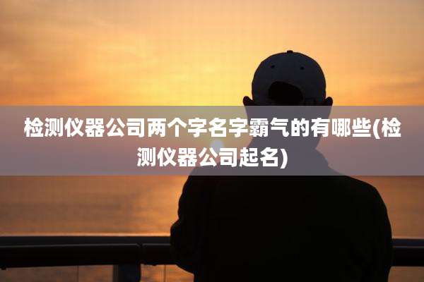 检测仪器公司两个字名字霸气的有哪些(检测仪器公司起名)