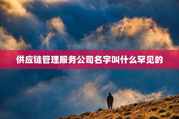 供应链管理服务公司名字叫什么罕见的