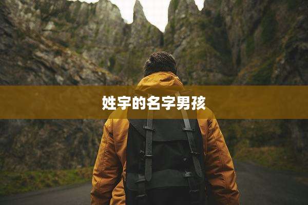 姓宇的名字男孩