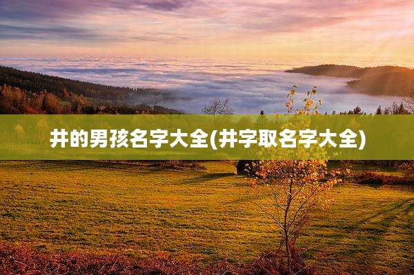 井的男孩名字大全(井字取名字大全)