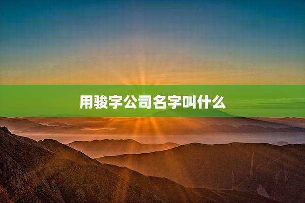 用骏字公司名字叫什么