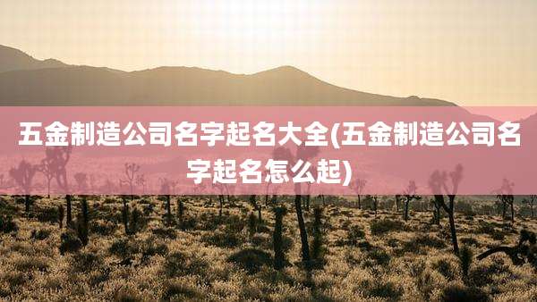 五金制造公司名字起名大全(五金制造公司名字起名怎么起)