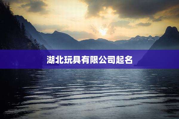 湖北玩具有限公司起名