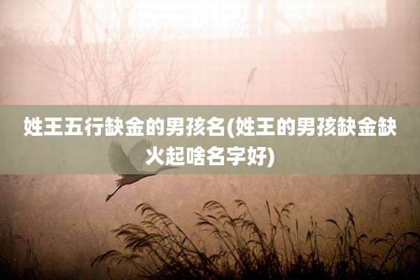 姓王五行缺金的男孩名(姓王的男孩缺金缺火起啥名字好)