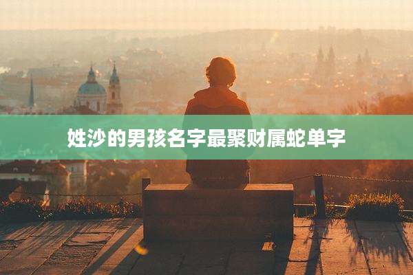 姓沙的男孩名字最聚财属蛇单字