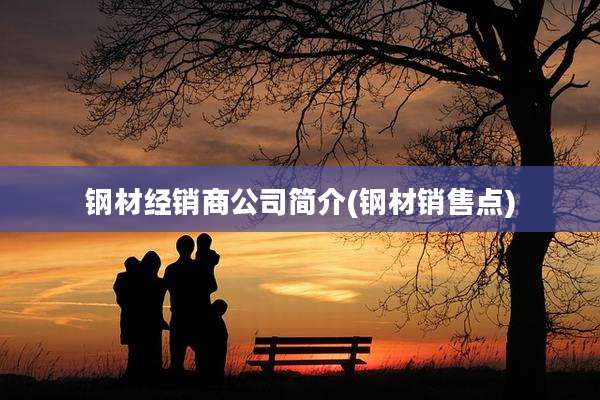 钢材经销商公司简介(钢材销售点)