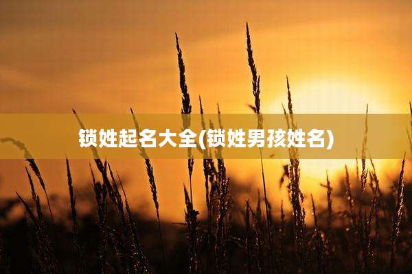 锁姓起名大全(锁姓男孩姓名)