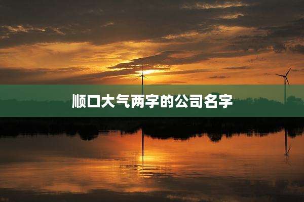 顺口大气两字的公司名字