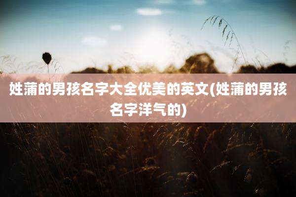 姓蒲的男孩名字大全优美的英文(姓蒲的男孩名字洋气的)