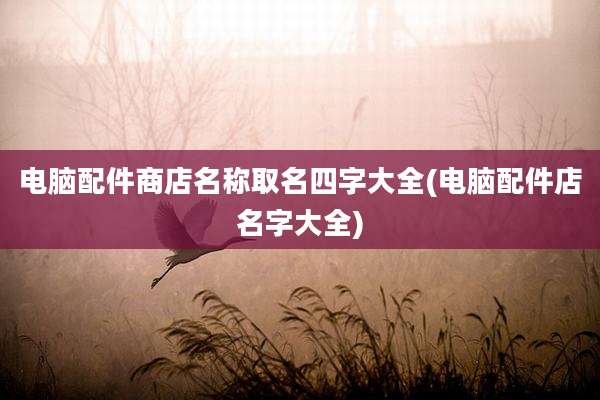 电脑配件商店名称取名四字大全(电脑配件店名字大全)