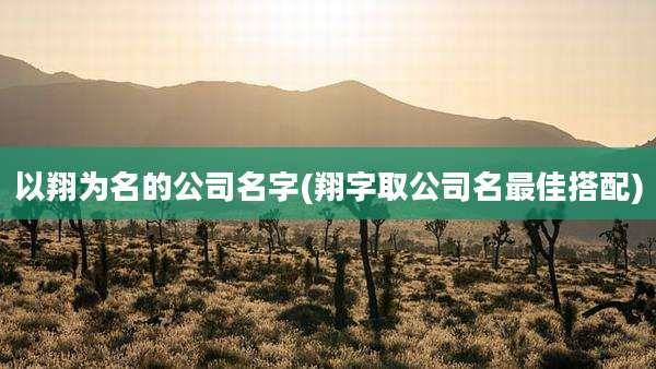 以翔为名的公司名字(翔字取公司名最佳搭配)