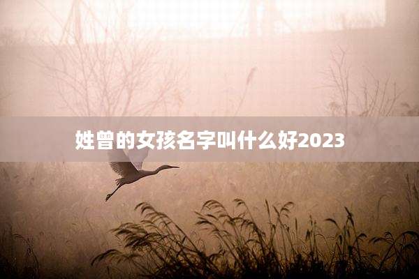 姓曾的女孩名字叫什么好2023