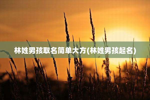 林姓男孩取名简单大方(林姓男孩起名)