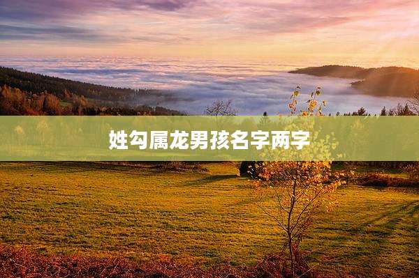 姓勾属龙男孩名字两字