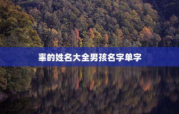 辜的姓名大全男孩名字单字