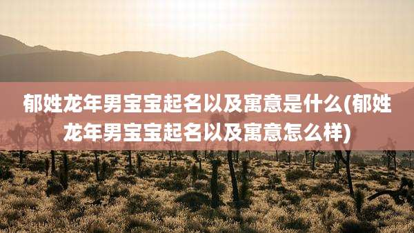 郁姓龙年男宝宝起名以及寓意是什么(郁姓龙年男宝宝起名以及寓意怎么样)