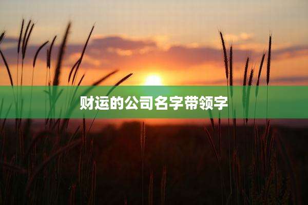 财运的公司名字带领字