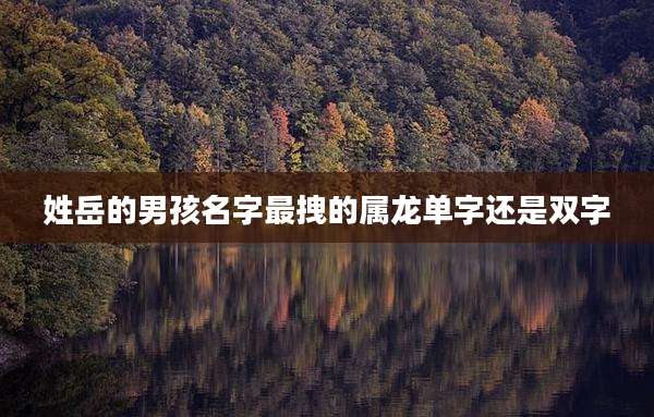 姓岳的男孩名字最拽的属龙单字还是双字