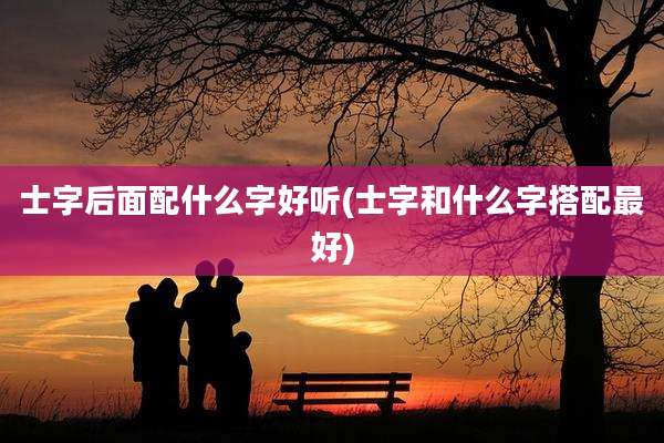 士字后面配什么字好听(士字和什么字搭配最好)