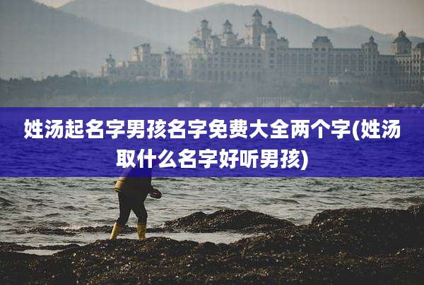 姓汤起名字男孩名字免费大全两个字(姓汤取什么名字好听男孩)