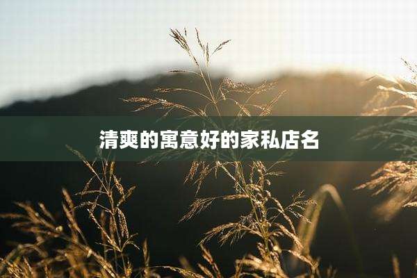 清爽的寓意好的家私店名