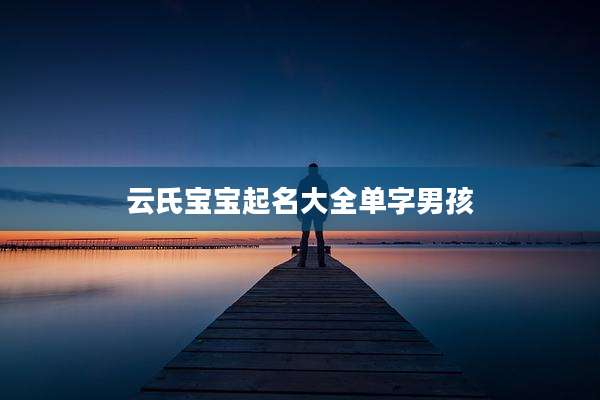 云氏宝宝起名大全单字男孩