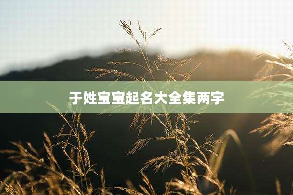 于姓宝宝起名大全集两字