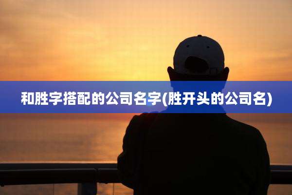 和胜字搭配的公司名字(胜开头的公司名)