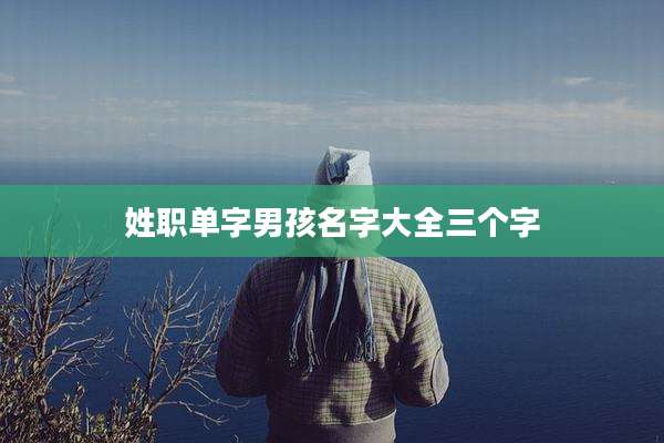 姓职单字男孩名字大全三个字