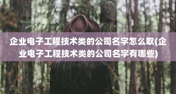 企业电子工程技术类的公司名字怎么取(企业电子工程技术类的公司名字有哪些)