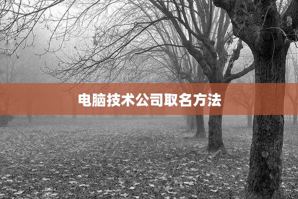 电脑技术公司取名方法