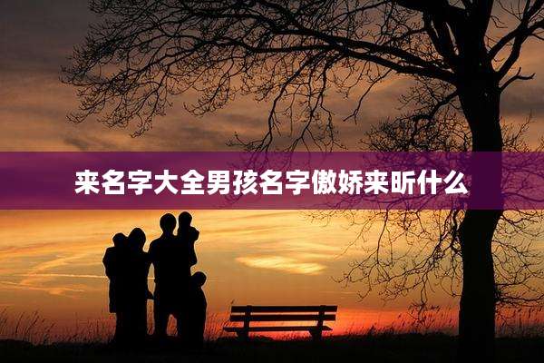 来名字大全男孩名字傲娇来昕什么