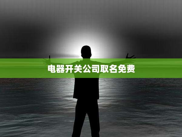 电器开关公司取名免费