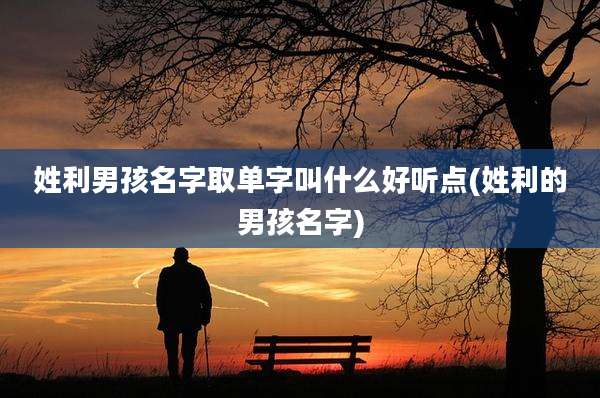 姓利男孩名字取单字叫什么好听点(姓利的男孩名字)