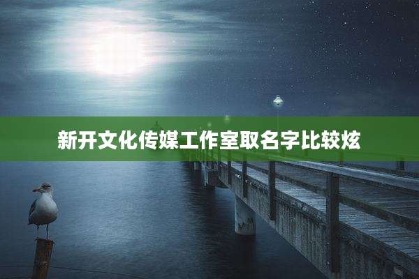 新开文化传媒工作室取名字比较炫