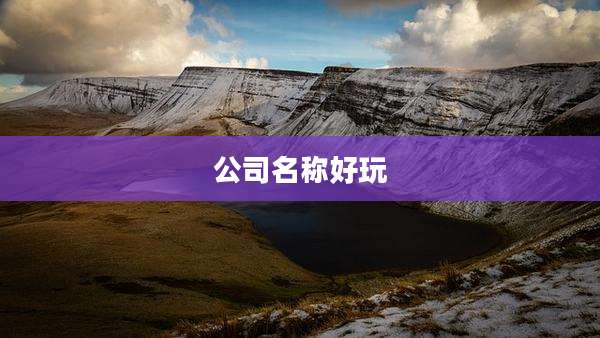 公司名称好玩