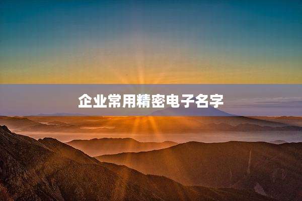 企业常用精密电子名字