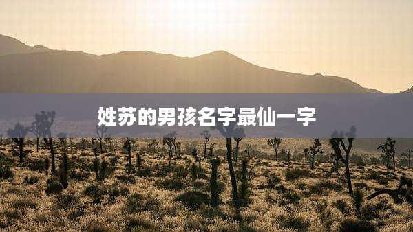 姓苏的男孩名字最仙一字
