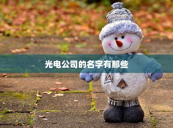 光电公司的名字有那些