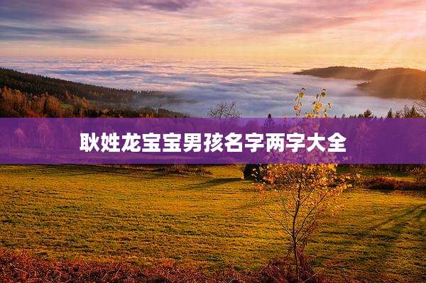 耿姓龙宝宝男孩名字两字大全