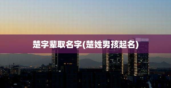 楚字辈取名字(楚姓男孩起名)